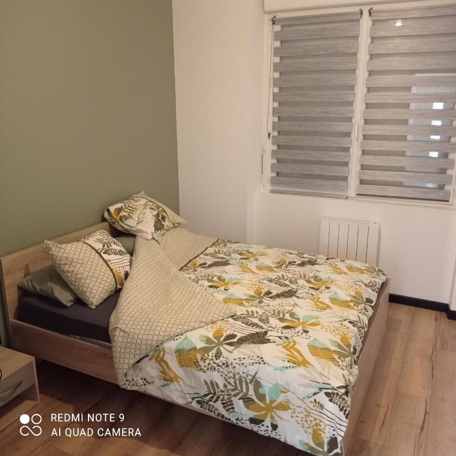 Maisonnette Tout Confort Parking Prive 布雷斯特 外观 照片